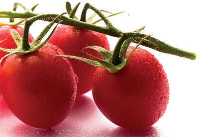 Tomato sauce Tomato sauce